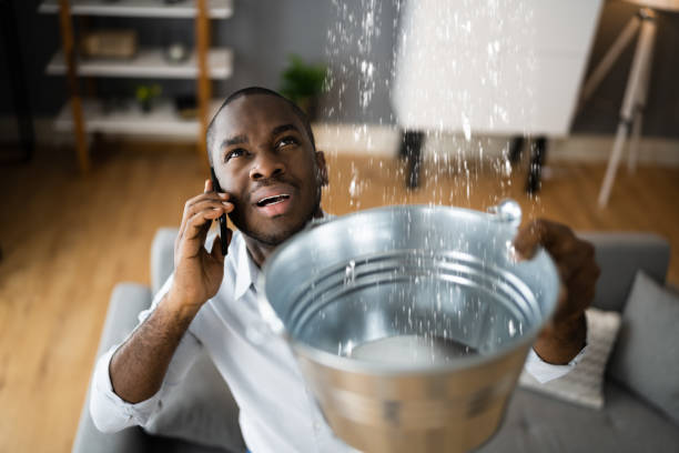 Best Professional water damage repair  in East Uniontown, PA