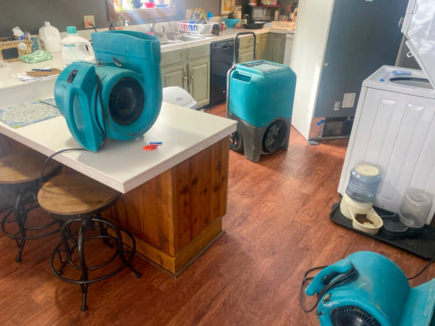 Best Basement water damage restoration  in East Uniontown, PA