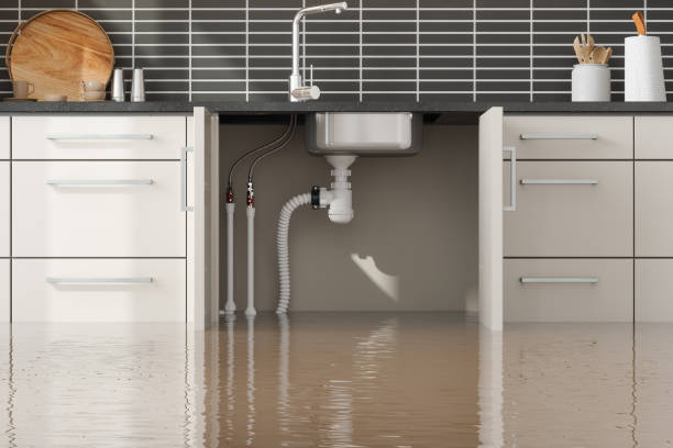 Best Water damage cleanup near me  in East Uniontown, PA